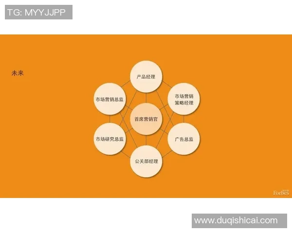 专业解析LNG市场节奏与策略的深度剖析与未来展望